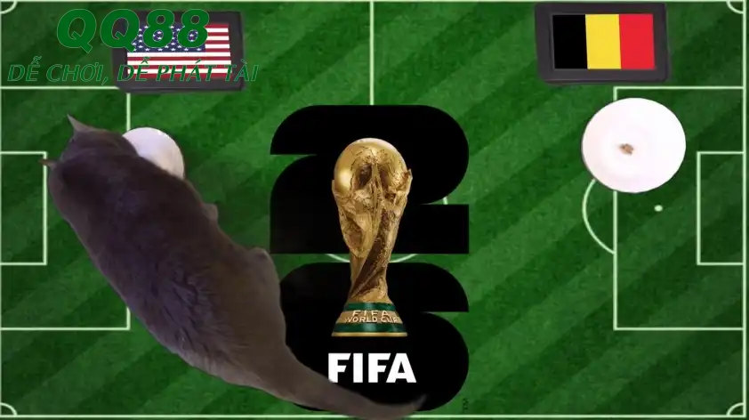 Mèo tiên tri dự đoán Mỹ vs Bỉ World Cup 2026 Mèo tiên tri dự đoán Mỹ vs Bỉ World Cup 2026